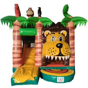 Lion's Jaws of Joy 4,6 x 3,5m
